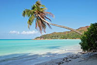 Strand in Seychellen