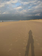 Föhr