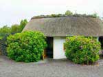 Irisches Cottage