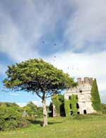 Menlo Castle, Galway