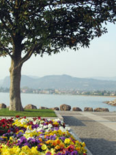 Gardasee: Torri del Benaco, der Yachthafen
