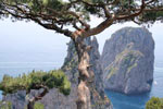 Sehenswerte Felsen auf der Insel Capri