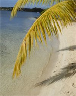 Urlaub auf Saint Barthélemy