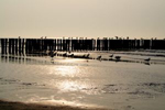 Langeoog