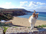 Urlaub auf Malta