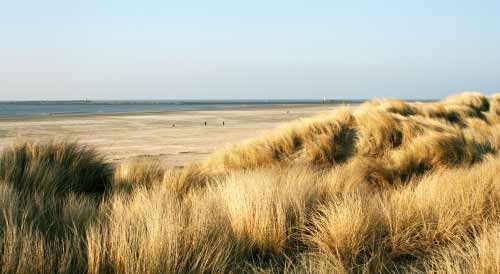 Holland Strandurlaub