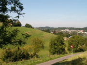 Limburg