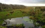 Texel Naturschutzgebiet