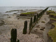 Wattenmeer Groningen