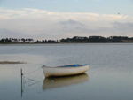 Langeoog