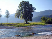 Urlaub in Niederösterreich - der Fluss Ybbs bei Hohenlehen