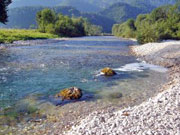 Am Ufer der Ybbs in Niederösterreich