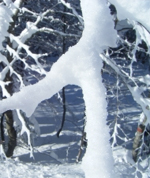 Schnee Vorarlberg
