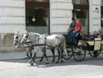 Fiaker, Wien