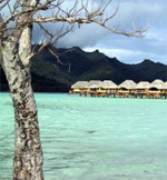 Polynesien