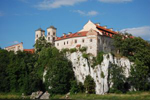 Kühe auf dem Bauernhof in Österreich