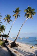 Reisegewinnspiele - Reisen zum Palmenstrand