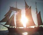 Segelschiff in der Ostsee