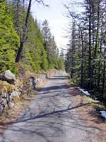 Berg-Strasse in der Slowakei - Natur pur