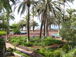 Palmen-Park in Puerto de la Cruz, Teneriffa