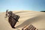 Tarifa