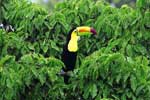 Sprachreisen Costa Rica