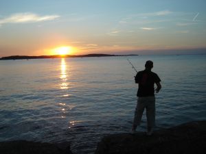 Angler am See
