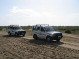 Jeeps