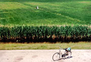 Mit dem Fahrrad auf Ameland