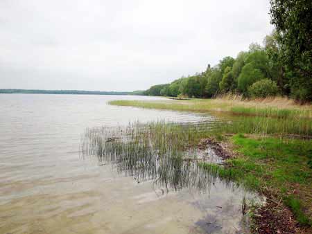 Krummer See - Urlaub Südbrandenburg