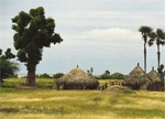 Rundreisen Benin