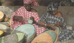 Rundreisen durch Gambia
