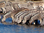 Rundreisen durch Malawi
