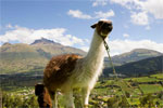 Rundreisen Ecuador