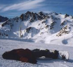 Tignes