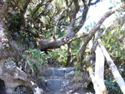 La Gomera, Kanaren