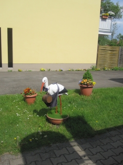 Storch im Vorgarten