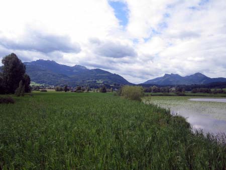 Taleinschnitt