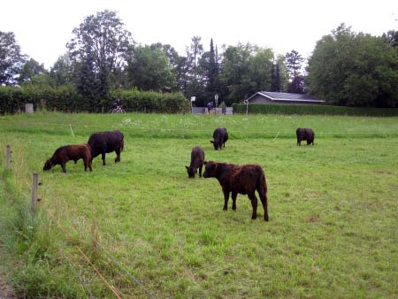 Urfahrn