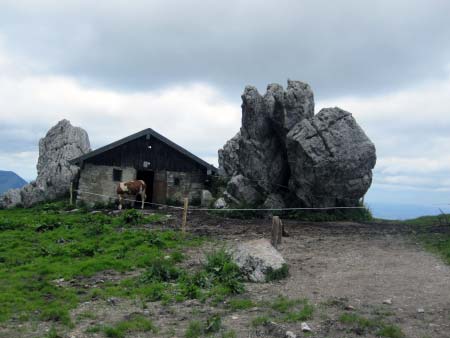 Kuhstall der Steinlingalm