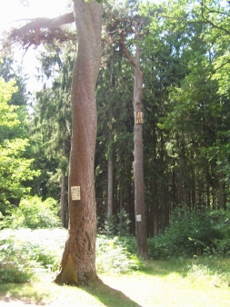 Adam und Eva in der Eifel