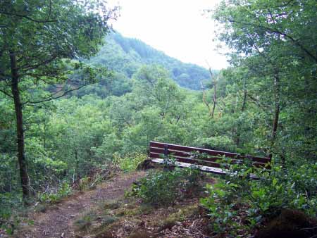 Aussichtspunkt Liesertal