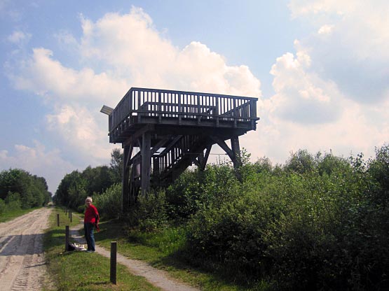 Aussichtsturm aus Holz