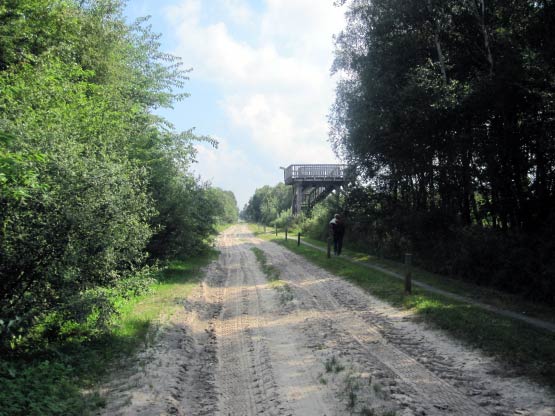 Wanderweg mit Aussichtsturm, Lengener Meer