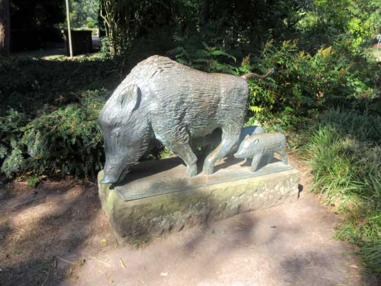 Wildschweine Kurpark Bad Bergzabern