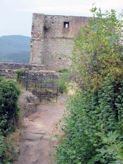 Auf der Burgruine