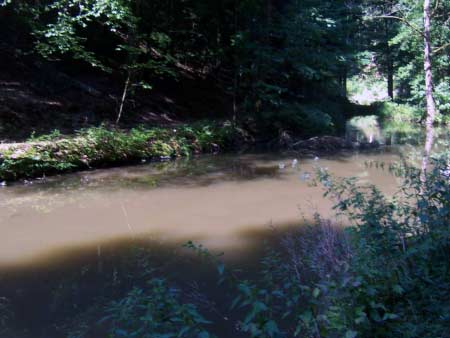 Burgweiher Manderscheid