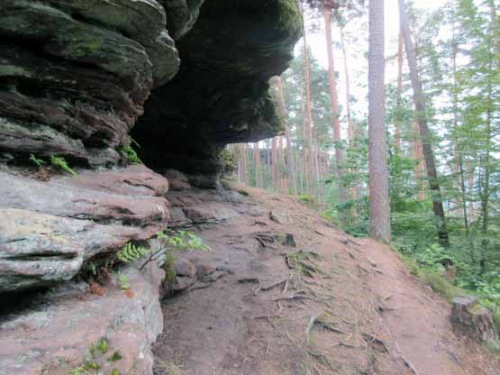 Der Pfaffenfels