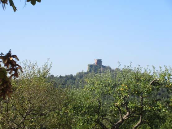 Der Drachenfels aus der Ferne