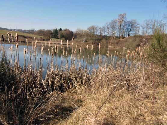 Blick Eichholzmaar